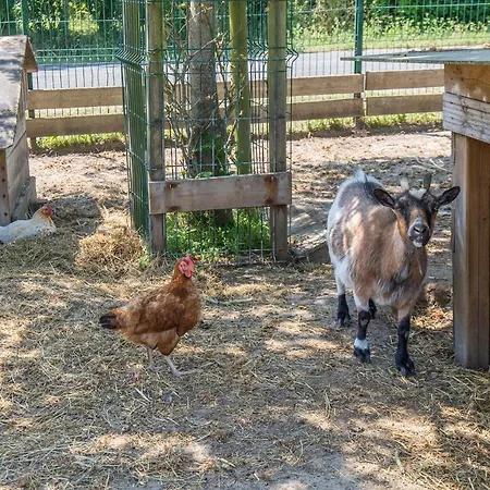 Antioche D'oleron 3*