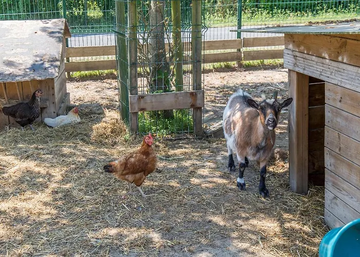 Antioche D'oleron 3*